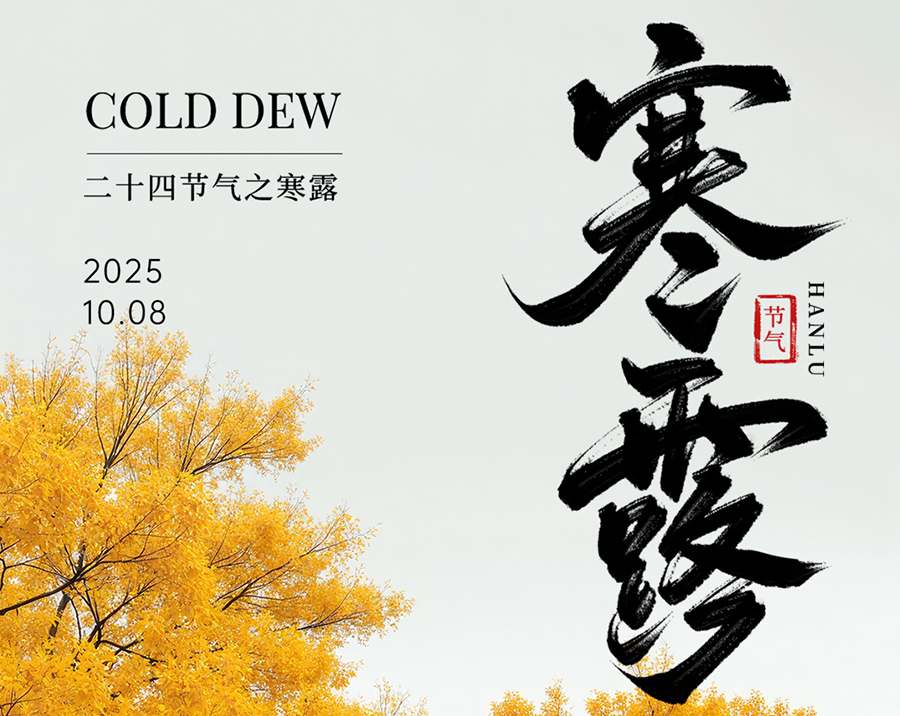 �е۴�ý������ӭ���ﻪ��